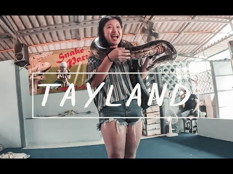 TAYLAND DA YILAN GÖSTERİSİNE KATILDIK