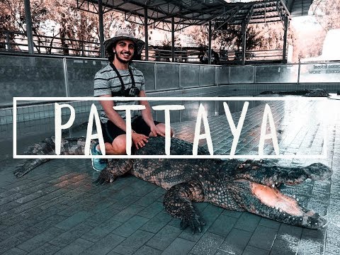 TAYLAND PATTAYA DA İLK GÜN TİMSAH GÖSTERİSİ