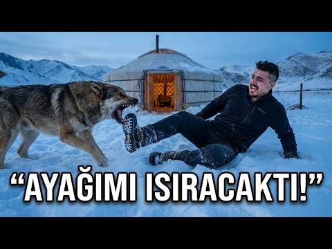 Çadırım Soyuldu Sandım… Sonrası Tam Bir Kâbus !