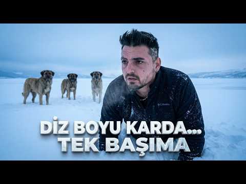 Donmuş Gölde Kalacak Yer Ararken Karşıma Köpekler Çıktı