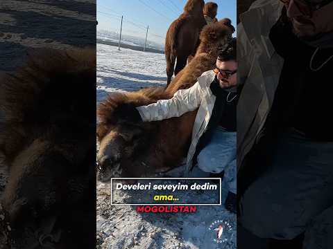 Sadece sevmek istemiştim…