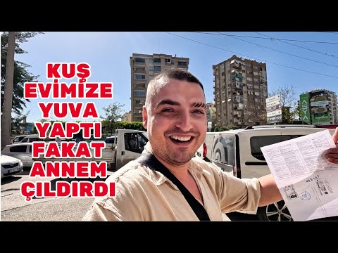 #5S/93B 🇹🇷 SONUNDA LMTD ŞİRKETİMİ KURDUM ! GEZGİNLERİN MAKUS TALİHİNE SON !?