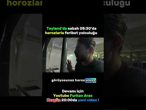 Oturduğunuz yerden eğlenerek dünyayı gezmek ister misin ? O zaman abone ol. Her gün yeni video !