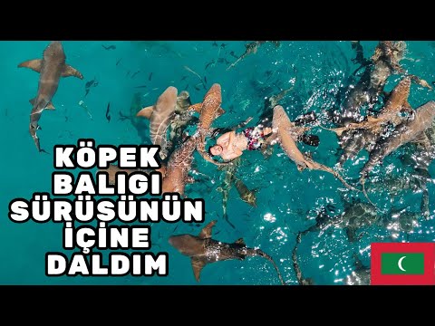 #5S/22B 🇲🇻 ADAM SOPAYLA ÜSTÜME YÜRÜYÜNCE KARAKOLA GİTTİM ! POLİSLER GELDİ !