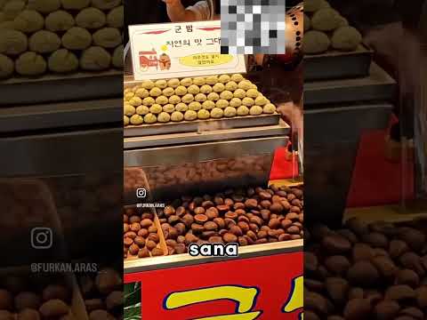 Sanırım geçtiğimiz hafta Kore’de yaşananlardan sonra herkes anlamıştır bu olayın ciddiyetini