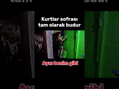 Herkes birbirine yürüyor !