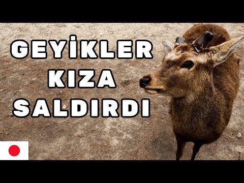 #4S/108B 🇯🇵 TAPINAGA ÇANTAMI SAKLADIM AMA !!