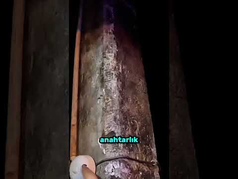 Sri Lanka çok acayip bir ülke ya