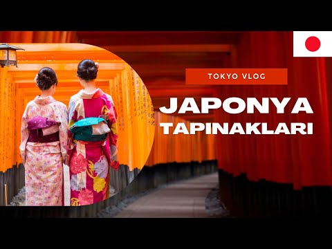 #4S/89B 🇯🇵 ANİME KIZLARIN YAŞADIĞI SOKAĞA GİDİYORUM !