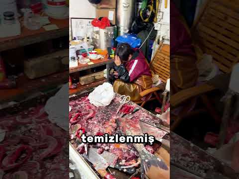 Daha neler neler yiyorlar yaa