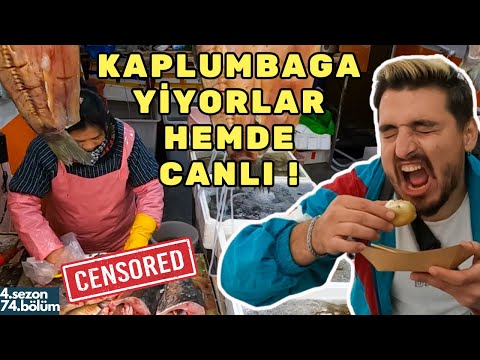 #4S/74B 🇨🇳 ÇİN SOKAK YEMEKLERİ VE ÜRPERTİCİ ARKA SOKAKLARI !