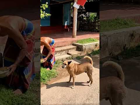 Bilirsiniz asla panik yapmam