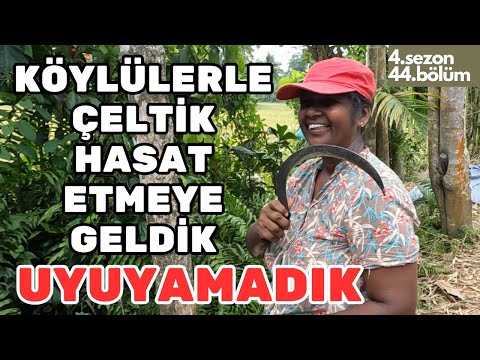 #4S/44B 🇱🇰 EVİNDE KALDIGIMIZ ADAM SARHOŞ OLUP YATAĞIMIZA GELDİ !