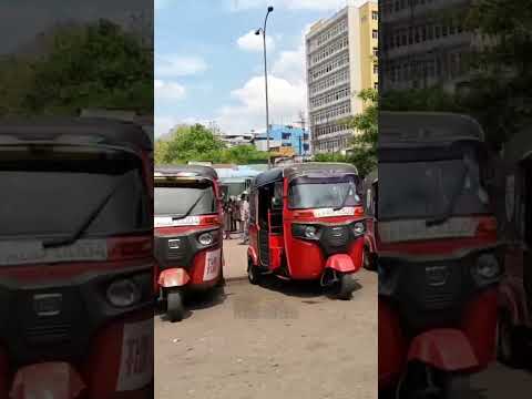 Balık kardeş gelde hafızasızlık gör