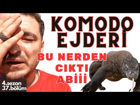 #4S/37B 🇱🇰 BURALAR CENNET GİBİ YER AMA ! AKLIM GİTTİ ELİM AYAGIMA DOLANDI !