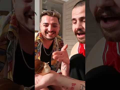 Salyangozum ülkücü çıktı 🧐😳