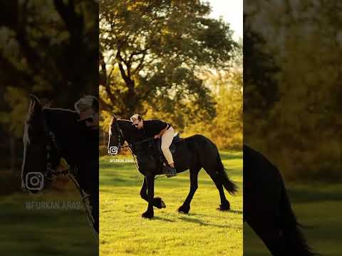 Bir gün atla gezeceğim dünyayı , kararım kesin