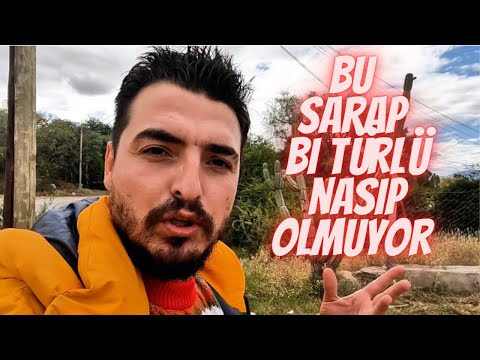 #3S/53B 🇦🇷TERKEDİLMİŞ HOSTELDE KALIYORUM ! PATRONDA BENİM MÜŞTERİ DE GÖNÜLLÜ DE !