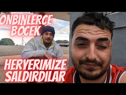 #3S/23B 🇦🇷 BÖCEK İSTİLASINDA MAHSUR KALDIK ! POLİS KURTARDI !