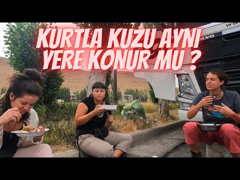 #2S/74B🇦🇷  3 KIZ BENİ OTOSTOPTA ALIRSA ? TIRIN DORSESİNDE BERABER UYUDUK !