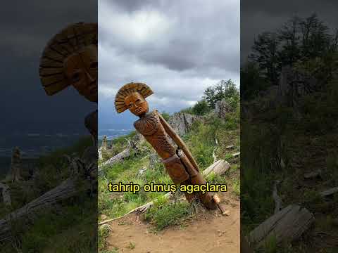 Gördüğüm en etkileyici ormanlardan ! #furkanaras #turcolouco #arjantin