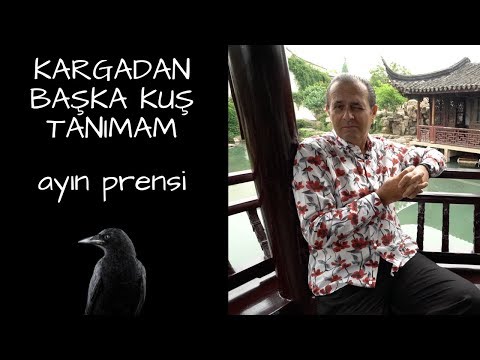 KARGADAN BAŞKA KUŞ TANIMAM - AYIN PRENSİ