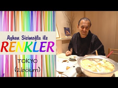 Ayhan Sicimoğlu ile RENKLER - Tokyo (2.Bölüm)