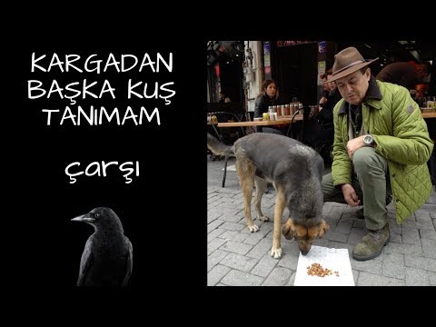 KARGADAN BAŞKA KUŞ TANIMAM - ÇARŞI