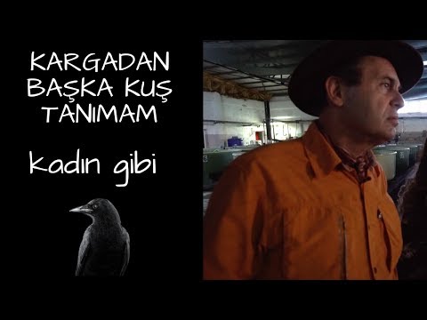 KARGADAN BAŞKA KUŞ TANIMAM - KADIN GİBİ
