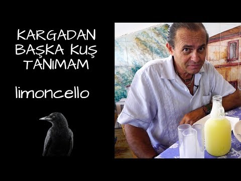 KARGADAN BAŞKA KUŞ TANIMAM - LIMONCELLO