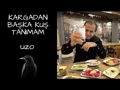 KARGADAN BAŞKA KUŞ TANIMAM - UZO