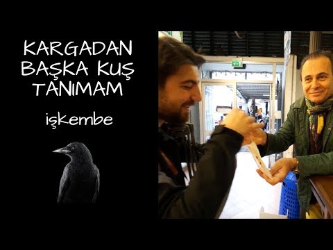 KARGADAN BAŞKA KUŞ TANIMAM - İŞKEMBE