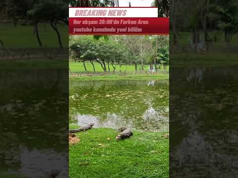 #45. Bölüm fragman