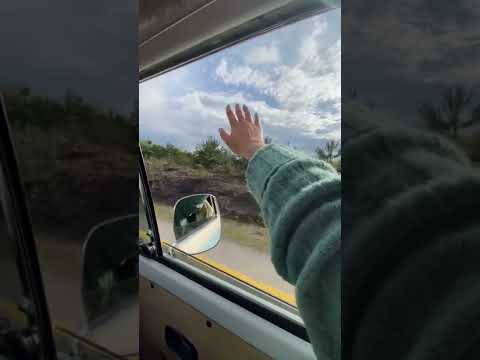 Uzaklara savrulalım :)