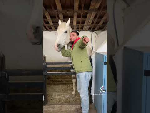 At sevgisi başka birşey :)