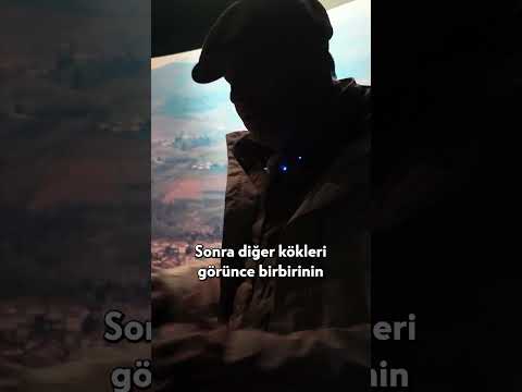 Üzüm Bitkisinin Devasa Kökleri... #shorts