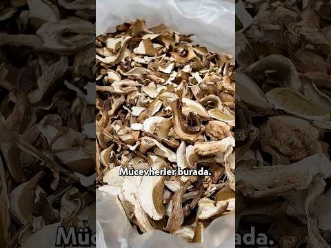 İtalyan Mücevheri: Trüf Mantarı! #shorts