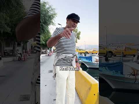 Etimolojinin Hastasıyız! #shorts