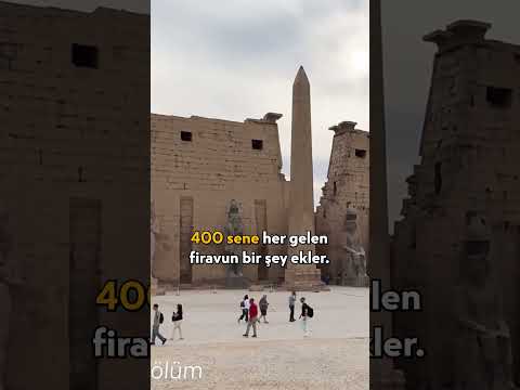 Mısır Değil Mısr! #shorts