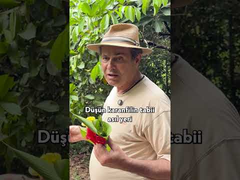 Bütün Dünya Bu Baharatlar İçin Savaştı! #shorts