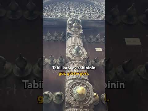 Düşmanlara Karşı Dikenli Kapı! #shorts