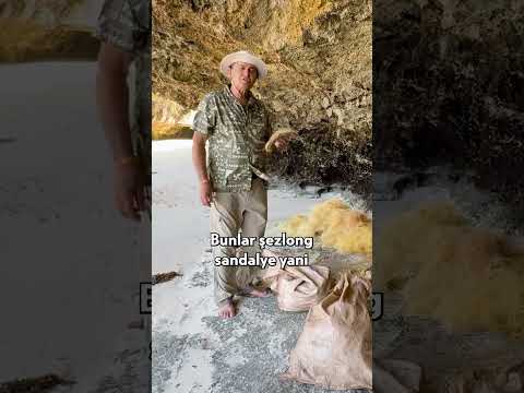 Kokonat Kabuğundan Şezlong! #shorts