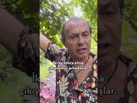 Maymunların Rızkına Göz Diktik 😂 #shorts