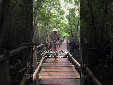 Kaptan, Başka Bir Gezegene Geldik! #shorts