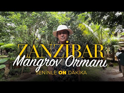 İnce Kumlu Uzun Plajları ile Zanzibar | Seninle On Dakika - 5. Sezon 10. Bölüm