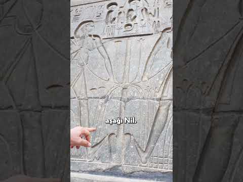 Papirüs ve Lotus Şehirlerinin Hikayesi! #shorts