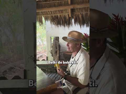 Hayvanlardan Öğrenmemiz Gereken Çok Şey Var #shorts