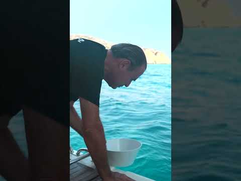 Denizin Temizliğini Böyle Ölçersin! #shorts