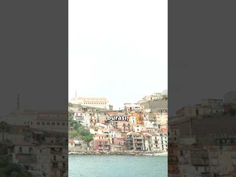 Mafyanın Doğduğu Topraklar #shorts