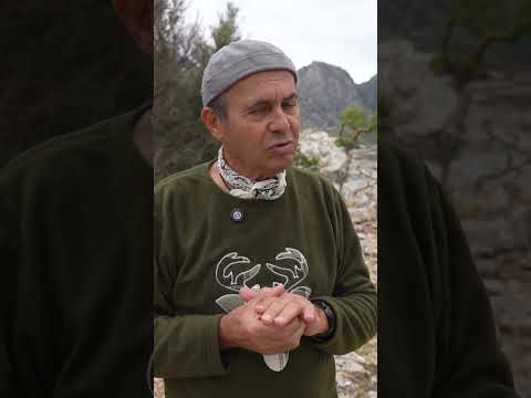 Burası İçin Ben de Kira Öderdim | Ayhan Sicimoğlu #shorts